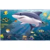 Aquarium Backdrop