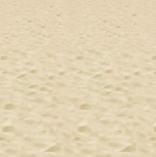 Beach Backdrop