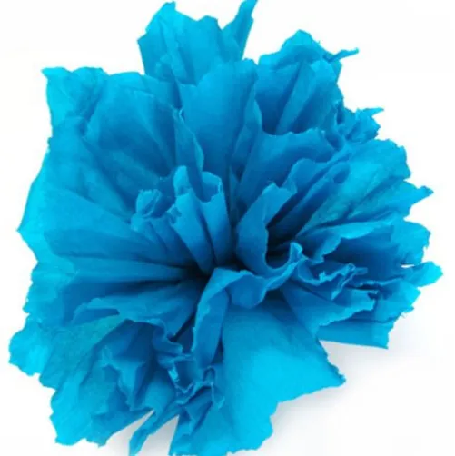 Carolina Flower 4"