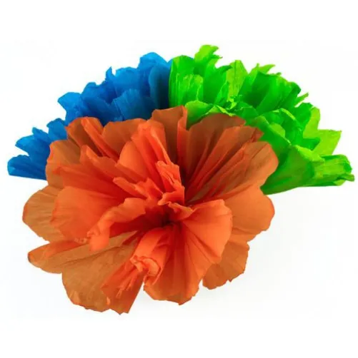 Chayo's Flowers (10")