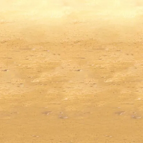 Desert Sand Backdrop