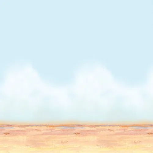Desert Sky & Sand Backdrop