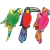 Exotic Birds