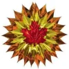 Fall Leaf Fan Burst