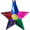 Five Point Star Tin Ornament