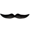 Hairy Mustache
