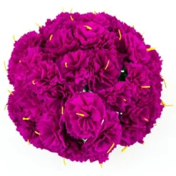 Hot Pink Carnations