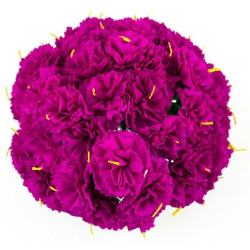 Hot Pink Carnations