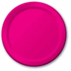 Hot Pink Dinner Plates