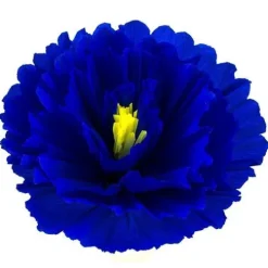 Large Dahlia Flower