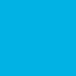 Light Blue Tissue Sheets