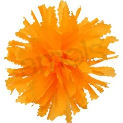 Marigold Flower