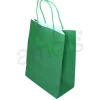 Medium Green Gift Bag
