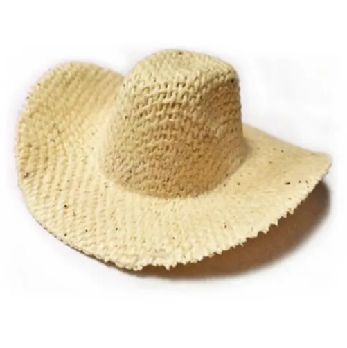 Mini Straw Western Hat