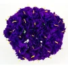 Purple Carnations