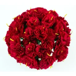 Red Carnations