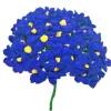 Royal Blue Terecitas Flowers