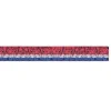 RSB Metallic Fringe Drape