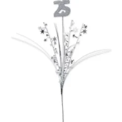 Silver 25 Star Spray
