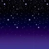 Starry Night Backdrop