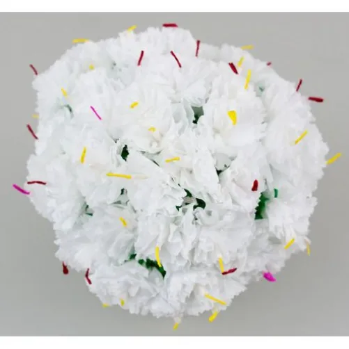 White Carnations