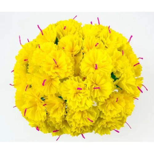 Yellow Carnations